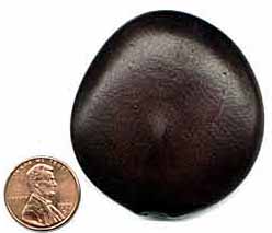 The ebony seed works as a sleep aid.