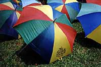school umbrellas