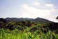 Mtn. Agou