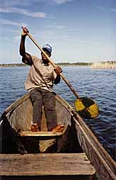 Nobert, the pirogue captain.