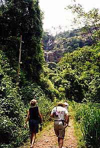 We're walking towards the Cascades de Kpimé