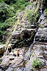 relaxing on the rocks