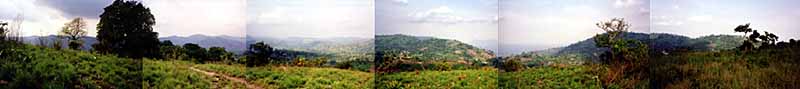 a panoramic view from a small hill