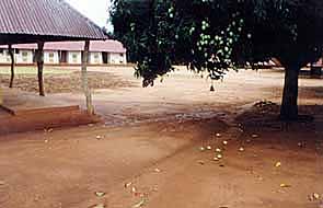 At the Royal Palace of Abomey, mango trees droop heavily with fruit.