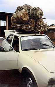 another bush taxi